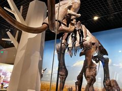 -国家自然博物馆