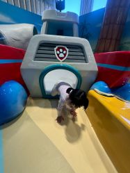 -尼克Playtime(欢乐海岸店)