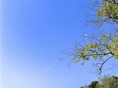 -松山湖风景区松湖烟雨