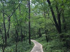 -玉渡山自然风景区