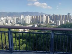 -金鸡山公园