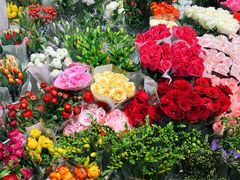 -双季花艺园艺市场(浦东店)