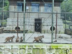 -南京金牛湖风景区