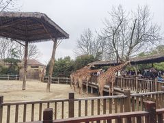 -上海野生动物园