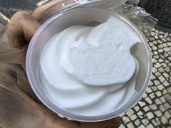 手工椰子雪糕-洪馨椰子