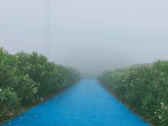 -南麂列岛