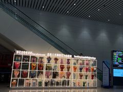 -广州白云国际机场-T2航站楼