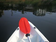 -千岛湖港湾鱼庄