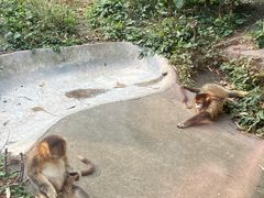 -成都动物园