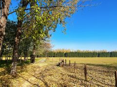 -汉长安城未央宫国家考古遗址公园