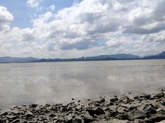 -深圳湾公园(南山区)