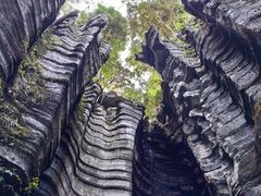 -梭布垭石林景区