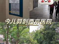 -西京医院