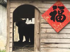 -黔灵山公园-南门售票处