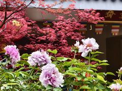 -龙华寺