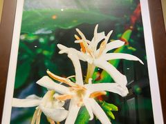 -星巴克(福州三坊七巷店)