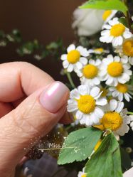 -Miss·A日式美甲美睫