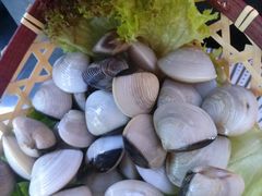 -马家斑.鲜鱼火锅(松湖万科店)