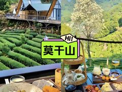 -莫干山风景区