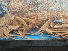 -徐记海鲜(大明宫|北二环店)