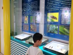 -上海昆虫博物馆