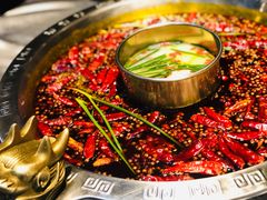 -红辣椒·川菜·火锅(张杨路店)