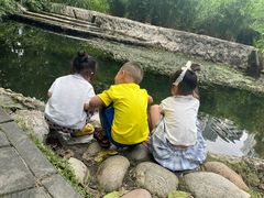 -成都市活水公园