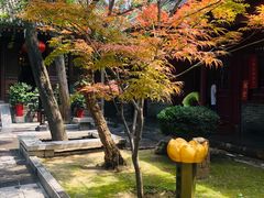 -罔极寺