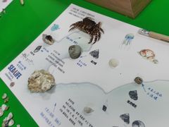 -沈阳海洋探索中心