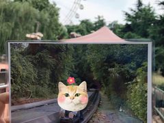 -富斯特索道