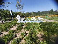 -东郊湿地公园