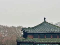 -南京钟山宾馆(江苏省会议中心)