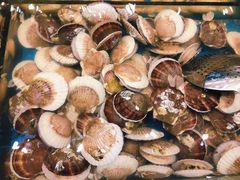 -半岛听涛蒸汽海鲜自助(K11店)