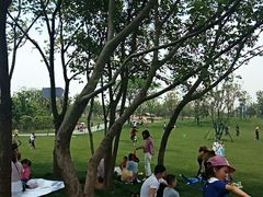 -盘龙城国家考古遗址公园