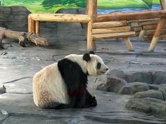 -秦皇岛野生动物园