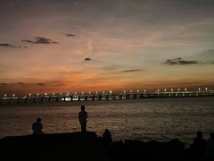 -宝安西湾红树林湿地公园