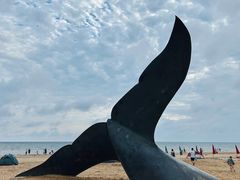 -烟台金沙滩海滨公园