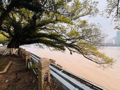 -江心屿景区