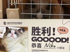 -伟伟宠物医院·CT影像中心·瑞派犬猫综合性门诊(汉口总院)