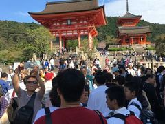 -有栖山 清光院 清水寺