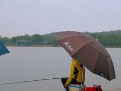 -上海月湖雕塑公园