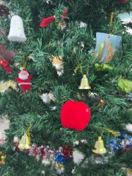 -斐尔国际皮肤管理中心