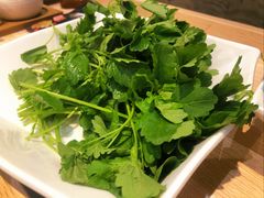 益母草-围炉夜话·潮汕卤水火锅(榕江店)