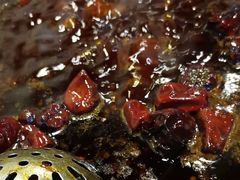 -铜元老码头鳝鱼火锅