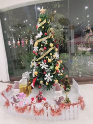 -宝生月子中心(独栋园林·福田店)