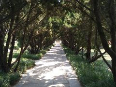 -洛阳古墓博物馆