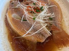 -华盛丰温州大排档(东三环南路店)