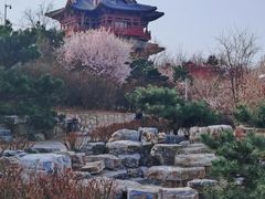 -河北省园博园