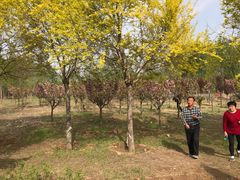 -淇河国家湿地公园