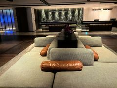 -新加坡乌节希尔顿酒店 (SG Clean)